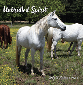 Unbridled%20Spirit